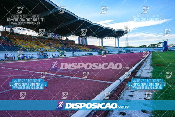 Foto 8247160