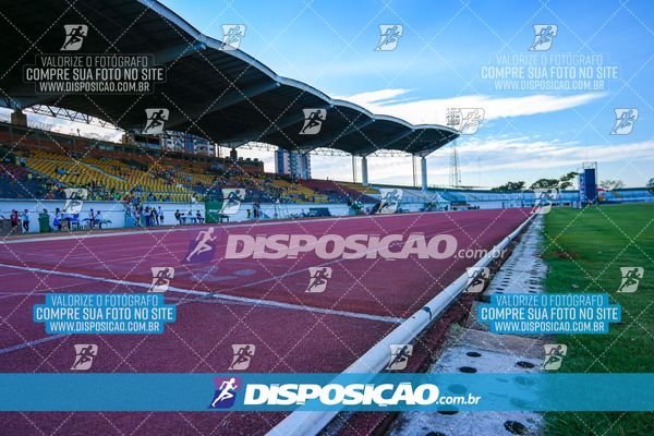 Foto 8247161