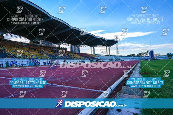 Foto 8247170