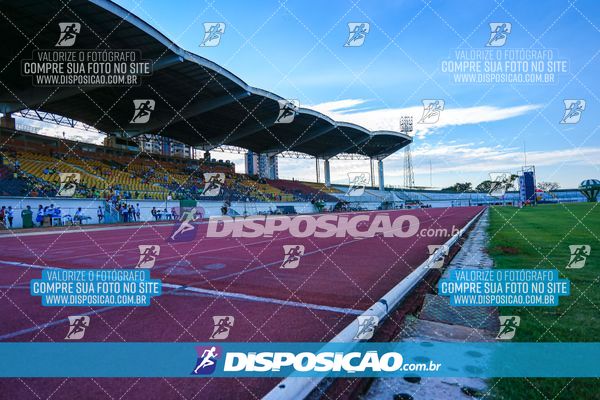 Foto 8247176