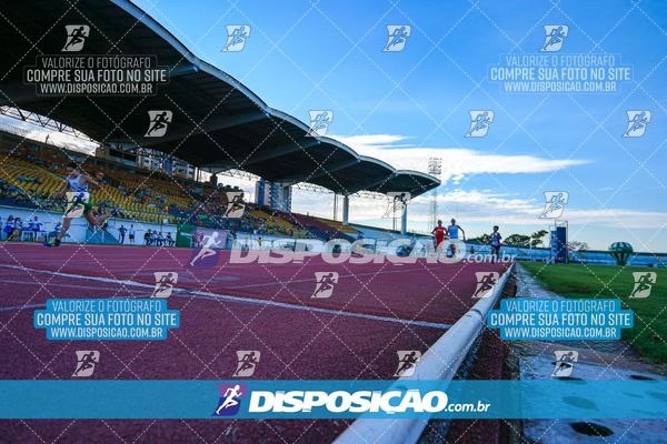 Foto 8247180