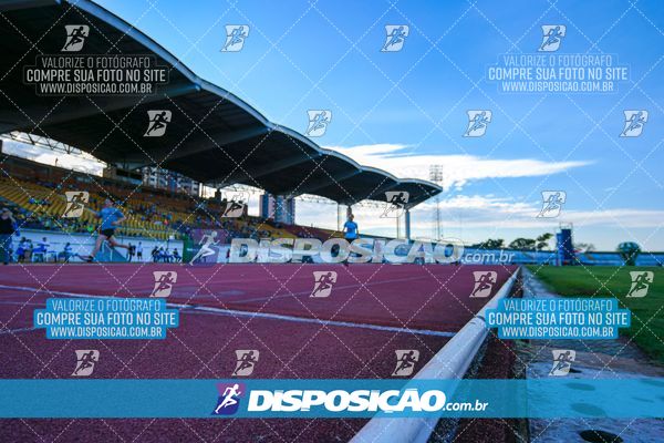 Foto 8247183