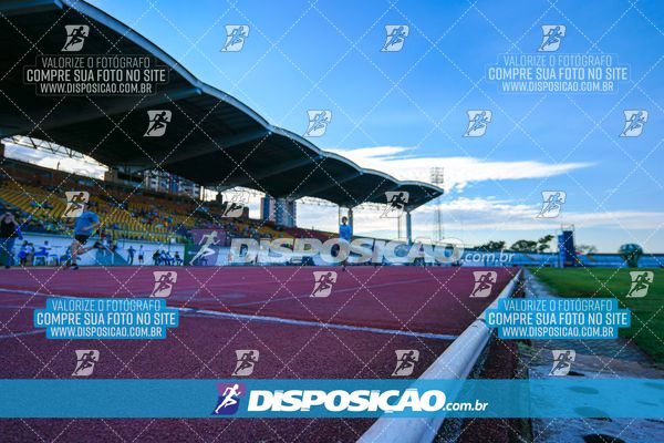 Foto 8247194