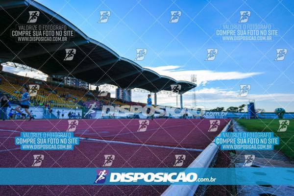 Foto 8247192