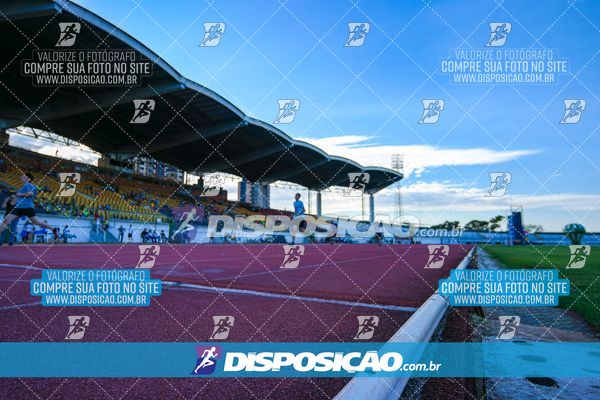 Foto 8247195
