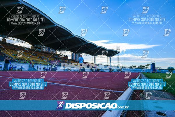 Foto 8247197