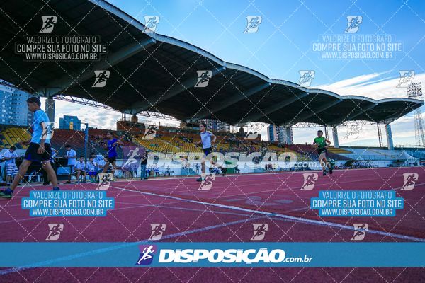 Foto 8247204