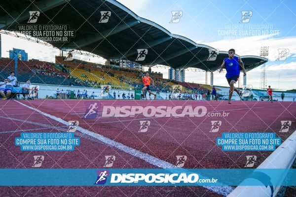 Foto 8247246