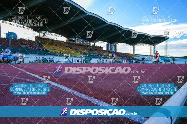 Foto 8247227