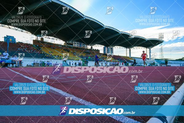 Foto 8247223