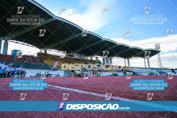 Foto 8247235