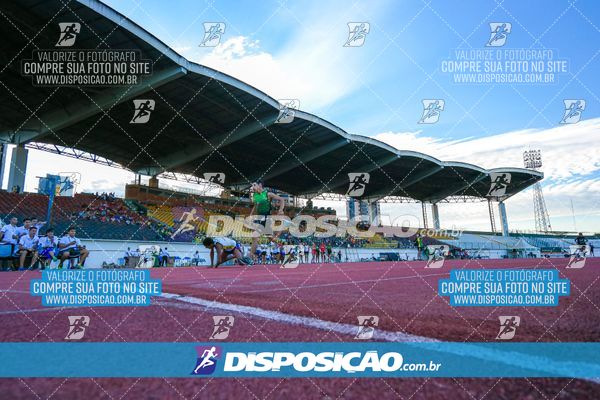 Foto 8247241