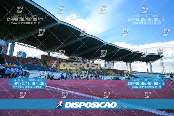 Foto 8247250