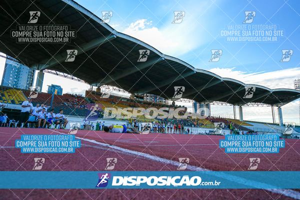 Foto 8247253