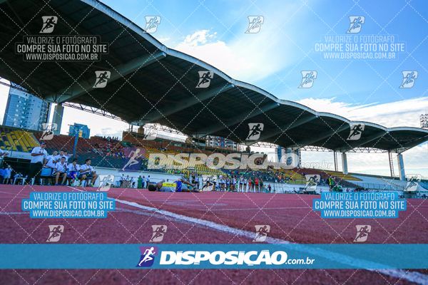 Foto 8247258