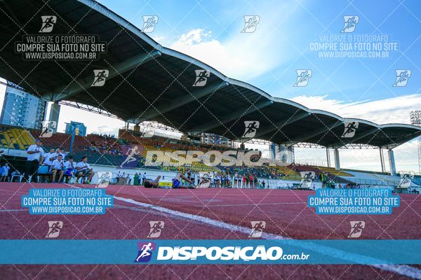 Foto 8247260