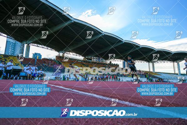 Foto 8247264