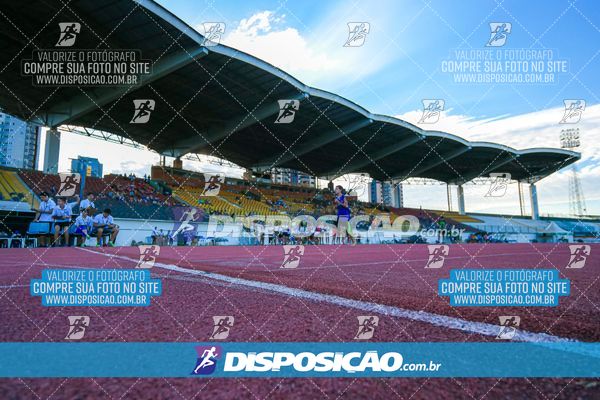 Foto 8247262