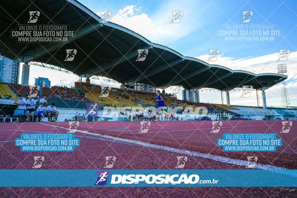 Foto 8247265