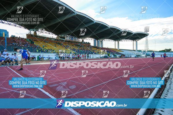 Foto 8247263