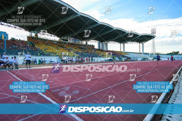 Foto 8247272
