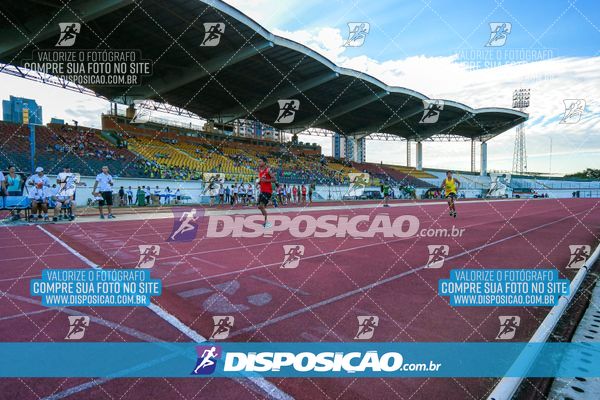 Foto 8247290
