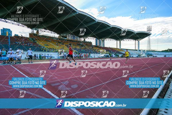 Foto 8247288