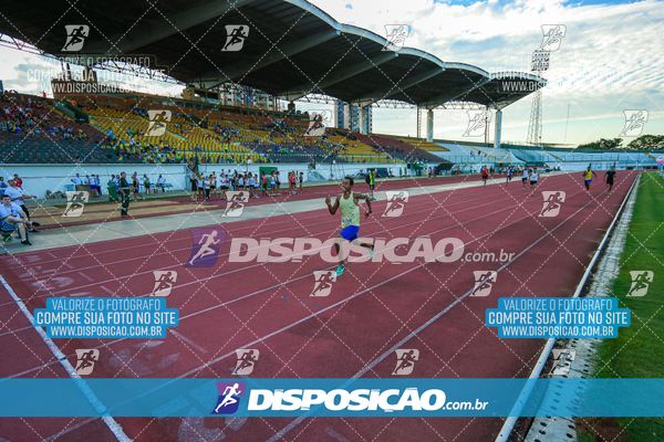 Foto 8247318