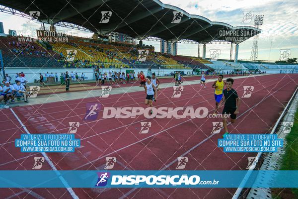 Foto 8247322