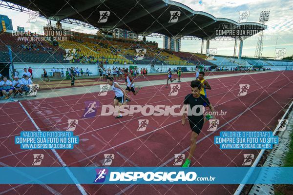 Foto 8247330