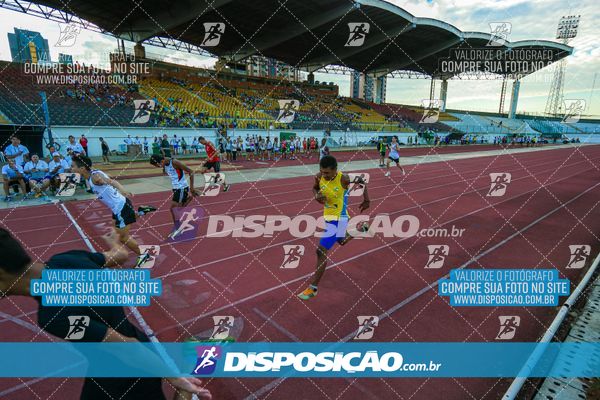 Foto 8247336