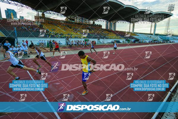 Foto 8247337