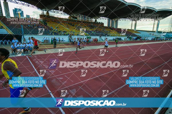 Foto 8247331