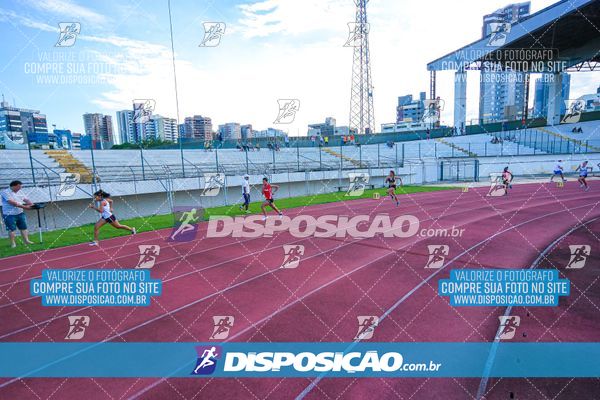 Foto 8247348