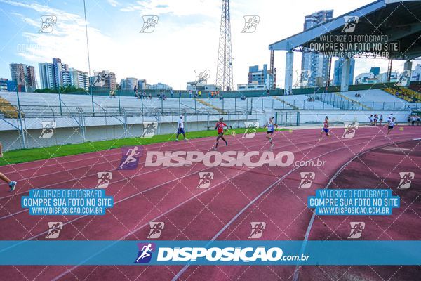 Foto 8247354