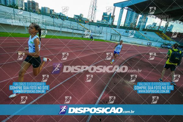 Foto 8247368