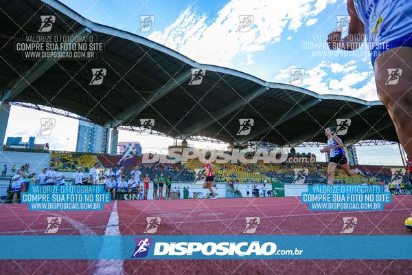 Foto 8247396