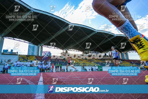 Foto 8247391