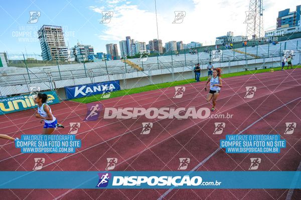 Foto 8247399