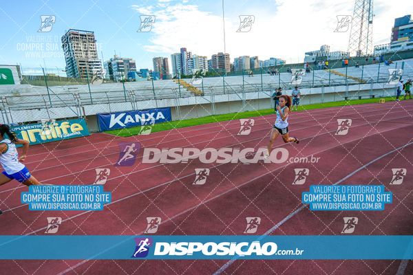Foto 8247414