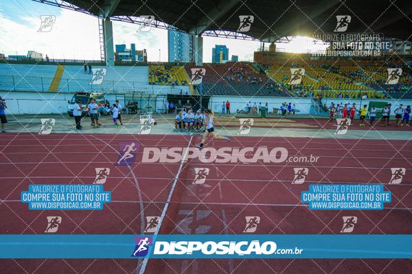 Foto 8247429