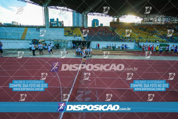 Foto 8247423