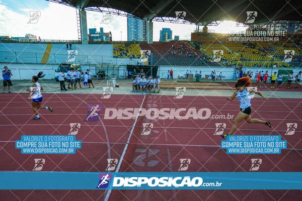 Foto 8247436