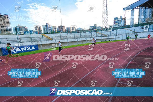 Foto 8247461