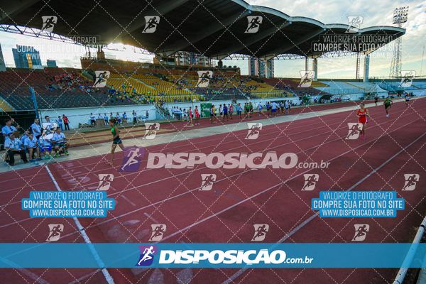 Foto 8247479