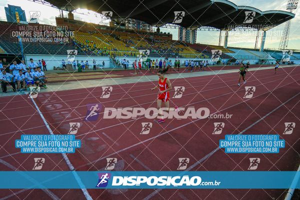 Foto 8247477