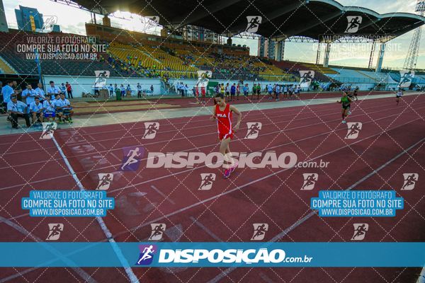 Foto 8247480