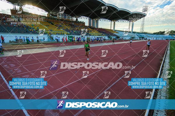 Foto 8247494