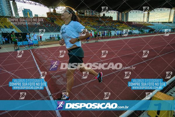 Foto 8247491