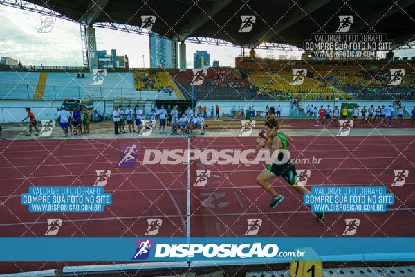 Foto 8247517